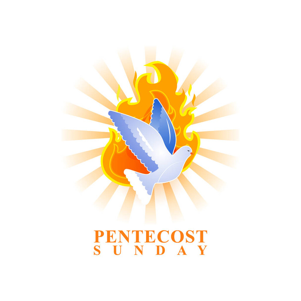 ペンテコステのベクトルイラストコンセプト日曜日グリーティングバナー - ベクター画像
