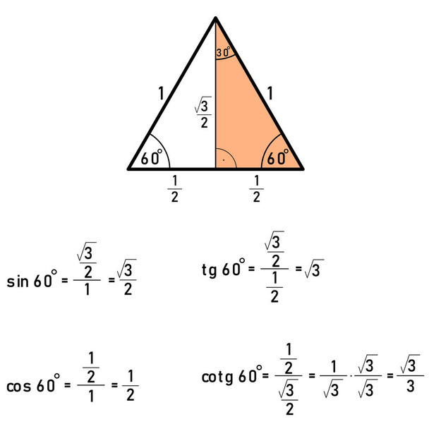 Deriving the values of goniometric functions for sixty degrees using a triangle - Vector, Image