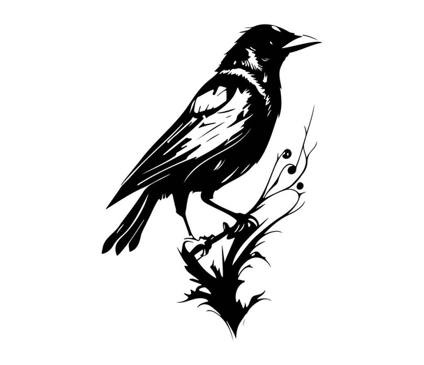 Uccelli neri Corvo, corvo, torre o taccola. Illustrazione vettoriale in stile retro. - Vettoriali, immagini