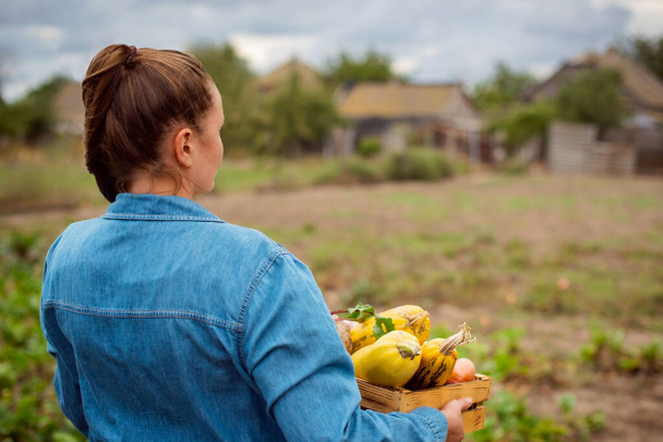 agricultora com caixa de legumes frescos andando ao longo de seu campo. Entrega de eco fazenda para produtos de mesa bio, cultivado por você mesmo - Foto, Imagem