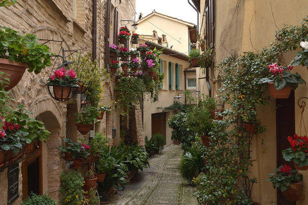 Beautiful flowers in ancient street of Spello medieval town located in Umbria region, Italy - Fotó, kép