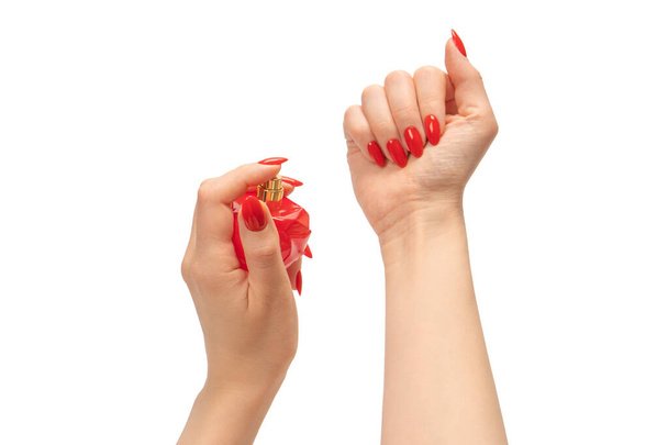 白い背景に隔離された赤い爪を持つ女性の手の香水の赤いボトル。香水の塗布. - 写真・画像