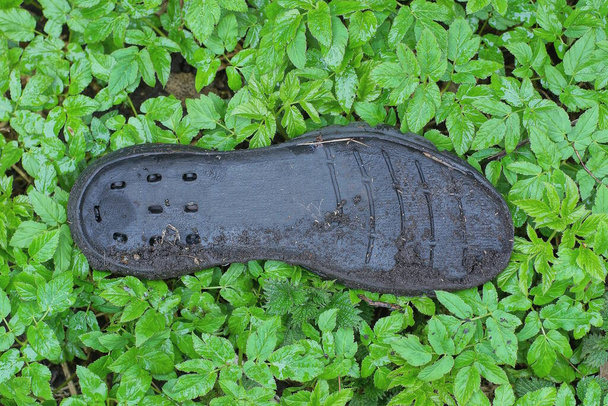 один старый грязный черный пластиковый подошва стельки лежит на зеленых листьях растений на открытом воздухе в природе - Фото, изображение