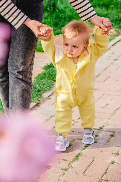 baby boy learns to walk holding his mothers hands - Φωτογραφία, εικόνα