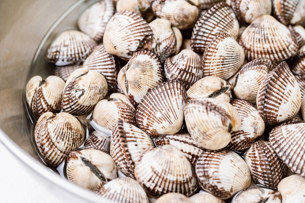       Fresh seafood cockles in a bowl - Photo, Image