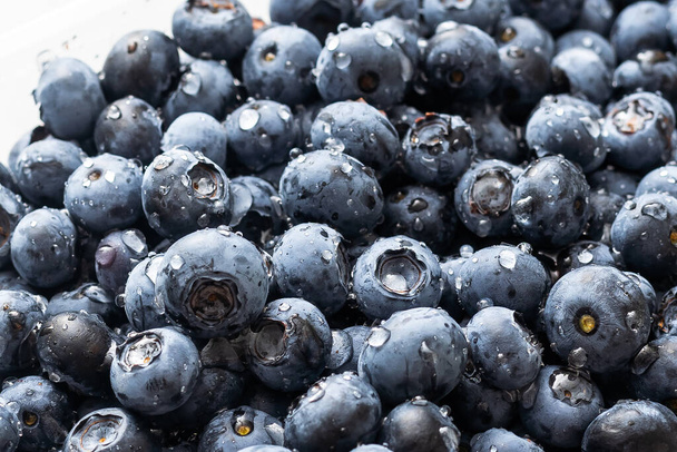 blueberry. Fresh Bilberries. Close-up background - Foto, Imagem