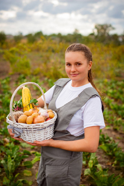 温室効果ガーデン保育園の野菜バスケット健康食品を保持するビジネス女性農家 - 写真・画像