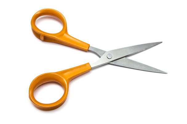 Handled scissors - Photo, Image