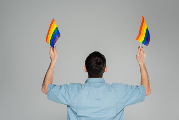 Back view of brunette gay man holding lgbt flags isolated on grey, International Day Against Homophobia    - Zdjęcie, obraz