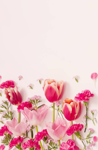 beautiful spring flowers on white  background - 写真・画像