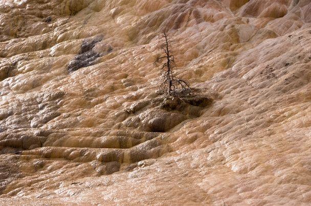 національний парк Жовтий камінь, США
 - Фото, зображення