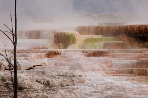 Yellowstone National Park, Verenigde Staten - Foto, afbeelding