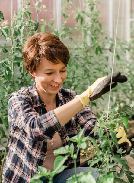Feliz jardinero mujeres en guantes y el cuidado de los tomates pulg Jardinería y floricultura. - Foto, imagen