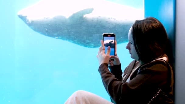 teini-ikäinen tyttö istuu akvaarion lasilla, jossa tiivisteet uivat merileijonat hän on onnellinen hymyillen nauraa iloa henkilön lapsi näyttää sormea ampua video tuttuja Vancouver akvaario, BC, Kanada - Materiaali, video