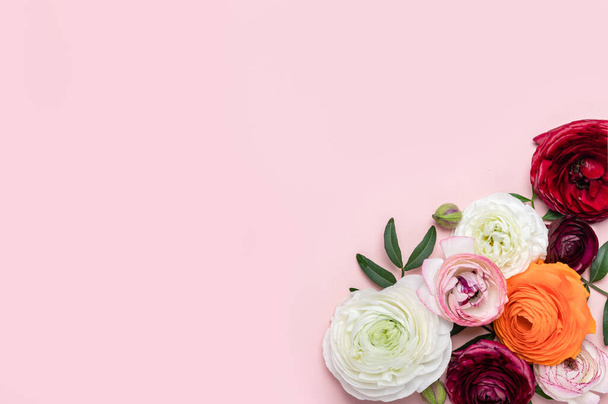 Gyengéd ranunculus virágok lapos rózsaszín háttér másolási hely. Egy csokor perzsa boglárka virágdísszel, felülnézetből - Fotó, kép