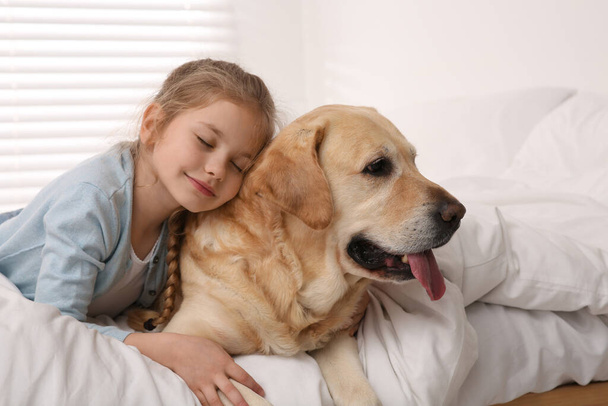 Young girl with her adorable dog on bed at home - 写真・画像