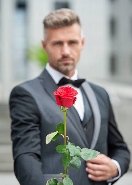 engagement concept. mature tuxedo man celebrating engagement. man with rose gift for engagement. - Fotoğraf, Görsel