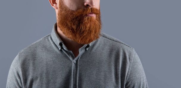 Man crop view with long beard. Unshaven face with red beard and mustache. Bearded and mustached Irish male studio isolated on grey, copy space. - Foto, immagini