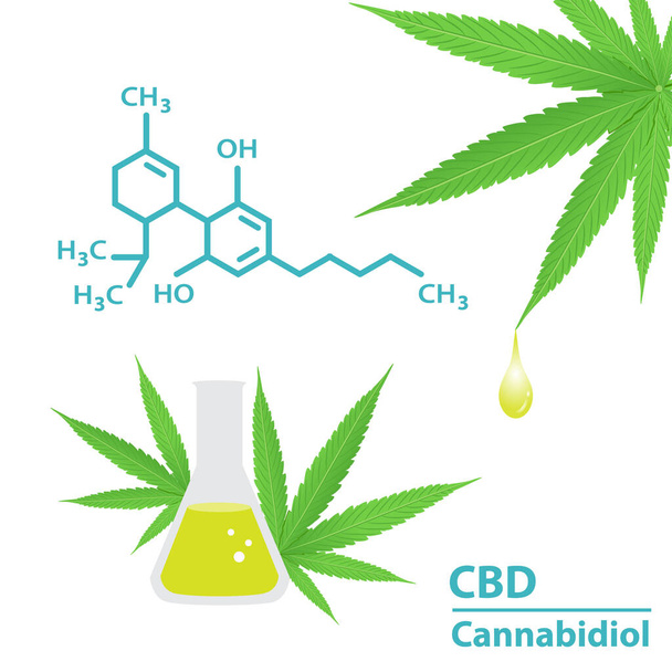 Chemical structure of cannabidiol vector on white background. Drop of cannabis extract, hemp, ganja, marijuana, hash. CBD in beaker with cannabis leaves. Medical cannabis concept illustration. - ベクター画像