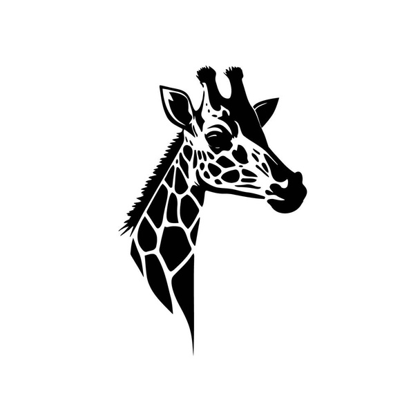 Silhouette testa giraffa su sfondo bianco. Stylization, logo. Illustrazione vettoriale. - Vettoriali, immagini
