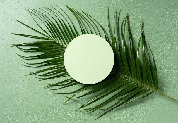Mockup circle podium, round stage lying on the natural green palm leaf for organic beauty cosmetis product presentation. Top view. - Foto, immagini