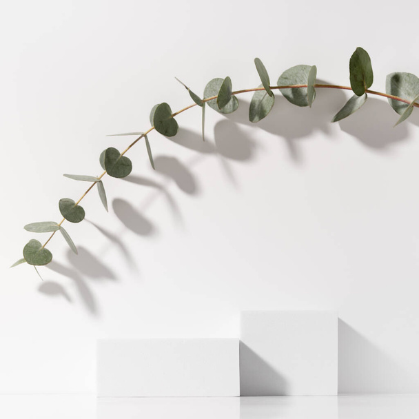 Minimal scene for beauty cosmetic product presentation made with white cubes and eucalyptus branch on white background. Square composition. - Foto, imagen