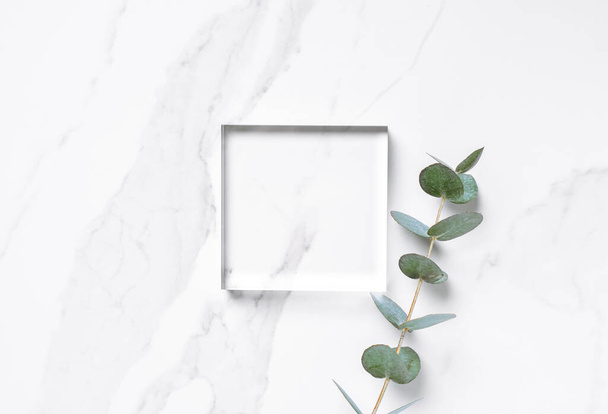 Empty glass podium with eucalyptus branch, top view. Minimalist background for cosmetics product presentation.  - Фото, изображение