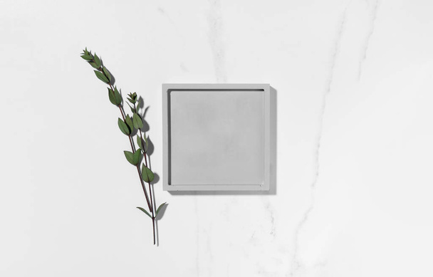 Beauty cosmetics product presentation flat lay mockup scene with square shape and eucalyptus branch on white marble table with copy space. Trendy sunlight,  top view. Studio photography. - Valokuva, kuva