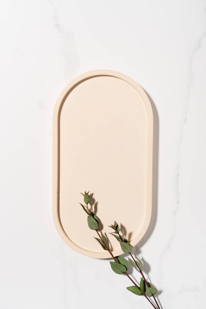 Beauty cosmetics product presentation flat lay mockup scene made with beige oval shape and eucalyptus branch. Vertical studio photography. - Zdjęcie, obraz