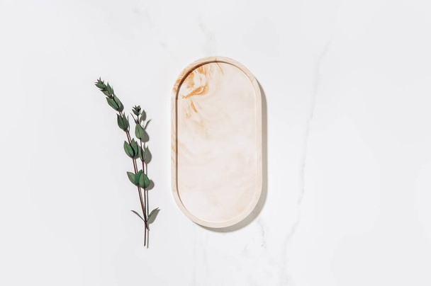 Beauty cosmetics product presentation flat lay mockup scene made with beige marble oval shape and eucalyptus branch. Studio photography. - Фото, изображение