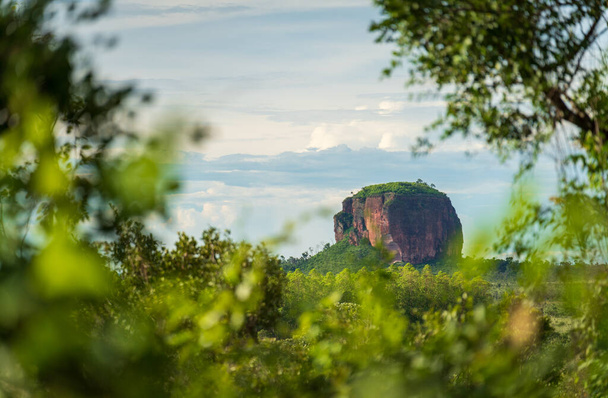 Een enorme rotsformatie rijst op uit de vlaktes achter een jungle struikgewas, met een lucht vol pluizige wolken, die de essentie van Tepuys uitbeeldt: eenzaam, sterk en stijf. - Foto, afbeelding
