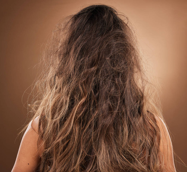 Dos, cheveux et frisottis avec une femme en studio sur fond brun pour soins capillaires ou soins de salon. Réparation, endommagé et salissant avec une femme chez le coiffeur pour la restauration de la kératine ou un remède. - Photo, image