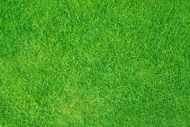 Искусственное травяное поле зеленый луг. Текстура сверху.  - Фото, изображение
