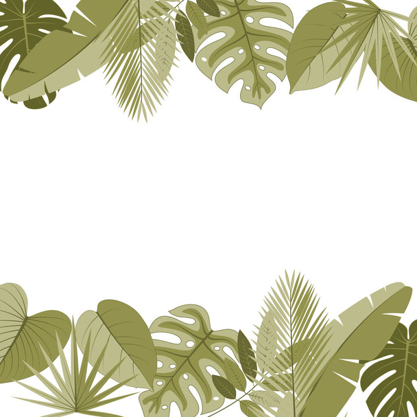 Foglie tropicali su sfondo bianco - Vettoriali, immagini