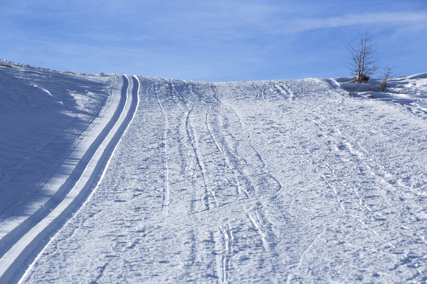 Piste de ski de fond
 - Photo, image