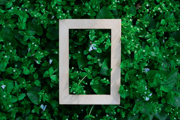 wooden empty frame on green leaves natyre background, free space - Fotografie, Obrázek