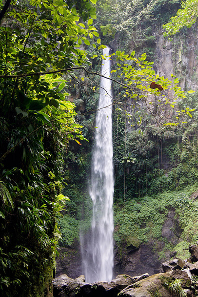 Sari Sari Falls - Insel Dominica - Foto, Bild