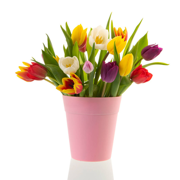 Colorful bouquet tulips in pink vase isolated over white background - Foto, Imagen