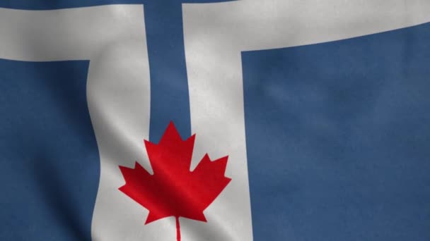 Toronto şehri bayrağı rüzgarda dalgalanıyor. Gerçekçi bayrak arkaplanı. - Video, Çekim