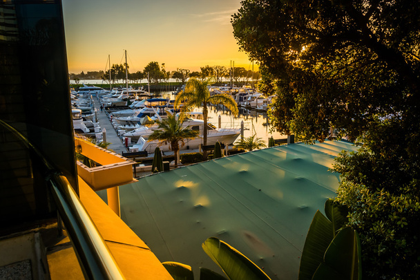 View of a marina at sunset, at the Embarcadero, in San Diego, Ca - Foto, afbeelding