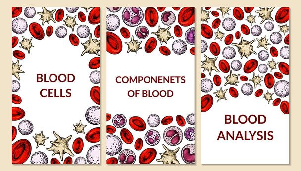 Conjunto de antecedentes de células sanguíneas. Diseño para análisis de sangre, anemia, donación, hemofilia, conceptos de investigación científica de laboratorio. Ilustración vectorial en estilo de boceto - Vector, Imagen