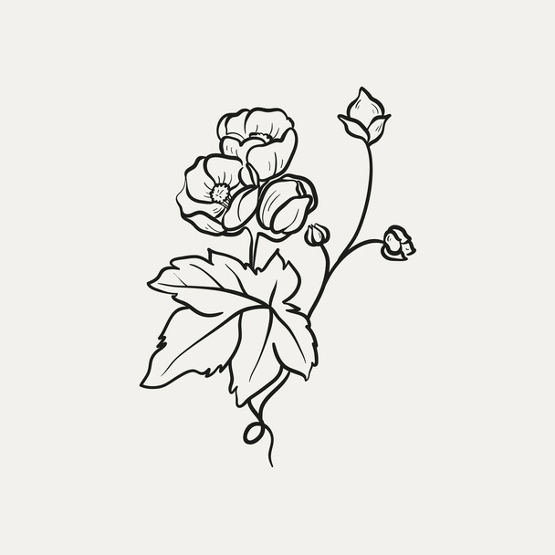 Botanical drawing. Minimal plant logo, botanical graphic sketch drawing,  meadow greenery, leaf and blooming flower abstract sketch element collection, rustic branch. Trendy tiny tattoo design, floral elements vector illustration - Vector, Image