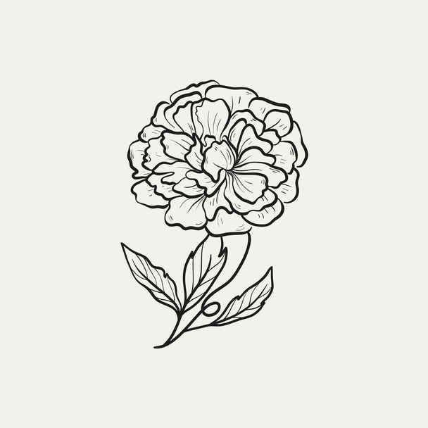 Botanical drawing. Minimal plant logo, botanical graphic sketch drawing,  meadow greenery, leaf and blooming flower abstract sketch element collection, rustic branch. Trendy tiny tattoo design, floral elements vector illustration - Vector, Image