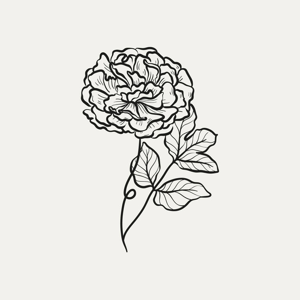 Botanická kresba. Minimální logo rostliny, botanická grafická kresba náčrtků, luční zeleň, sbírka listových a kvetoucích květinových abstraktních náčrtků, rustikální větev. Módní malinké tetování design, květinové prvky vektorové ilustrace - Vektor, obrázek