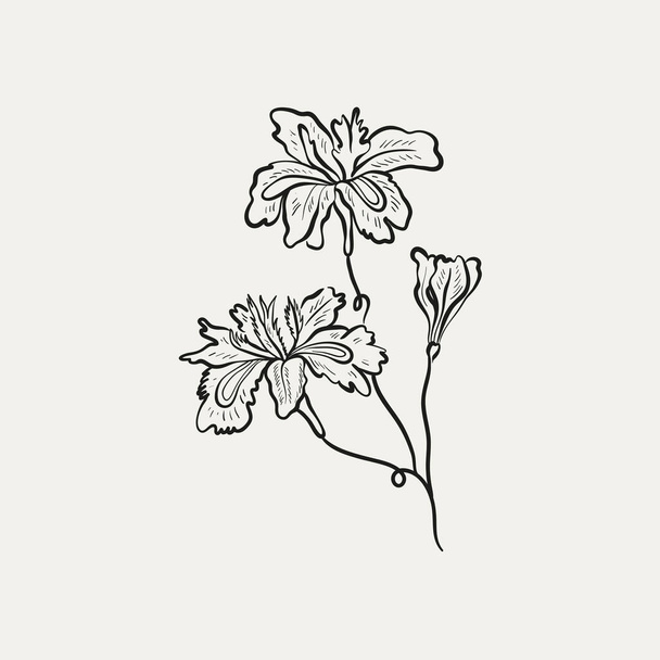 Botanical drawing. Minimal plant logo, botanical graphic sketch drawing,  meadow greenery, leaf and blooming flower abstract sketch element collection, rustic branch. Trendy tiny tattoo design, floral elements vector illustration - Διάνυσμα, εικόνα