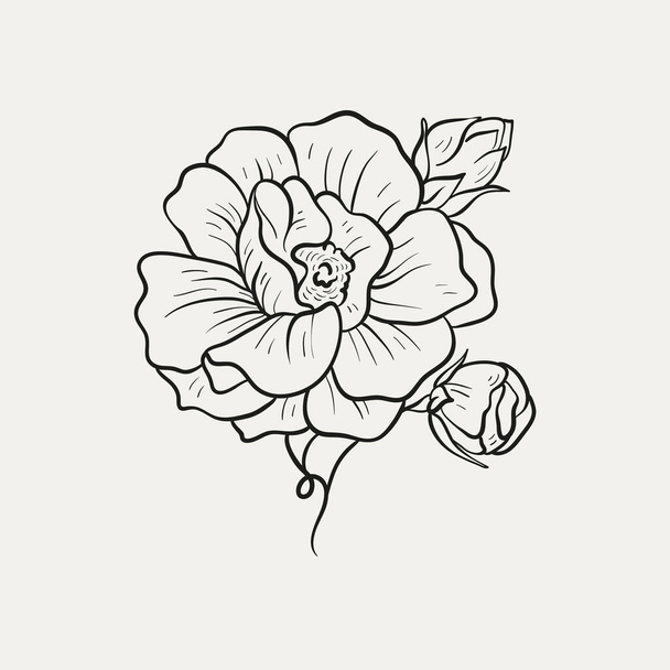 Botanical drawing. Minimal plant logo, botanical graphic sketch drawing,  meadow greenery, leaf and blooming flower abstract sketch element collection, rustic branch. Trendy tiny tattoo design, floral elements vector illustration - Vektor, Bild