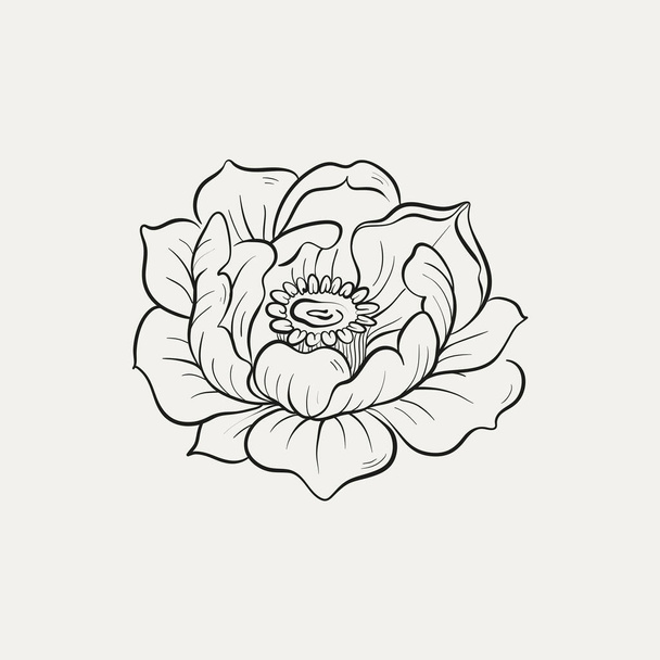 Botanická kresba. Minimální logo rostliny, botanická grafická kresba náčrtků, luční zeleň, sbírka listových a kvetoucích květinových abstraktních náčrtků, rustikální větev. Módní malinké tetování design, květinové prvky vektorové ilustrace - Vektor, obrázek