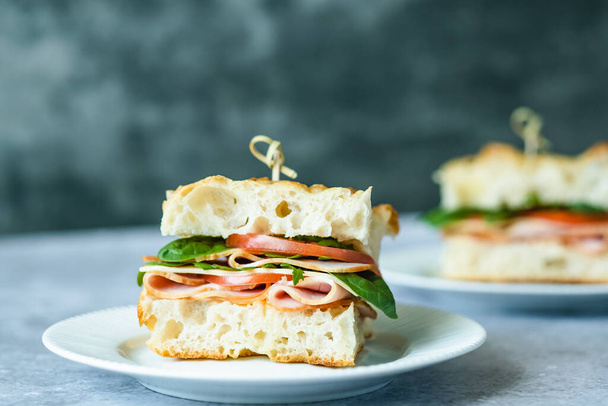 Close up sandwich with ham, baby spinach, tomato, arugula on a plate on a gray background. Side view. Space for text. Italian food. . High quality photo - Valokuva, kuva