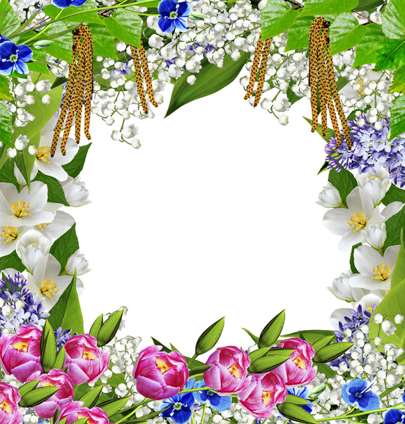 Spring flowers. frame - Photo, Image