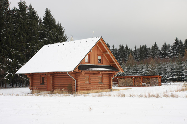 Casa de madeira na floresta no inverno
  - Foto, Imagem